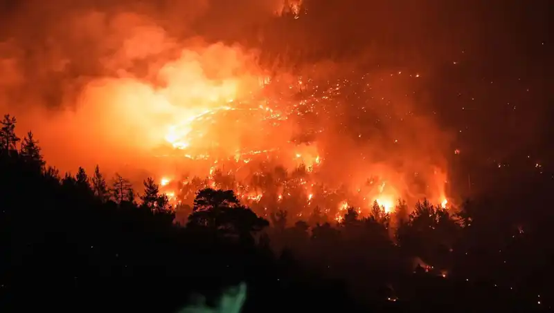 Bursa-Balıkesir Sınırında Orman Yangınına Müdahale Başarıyla Devam Ediyor