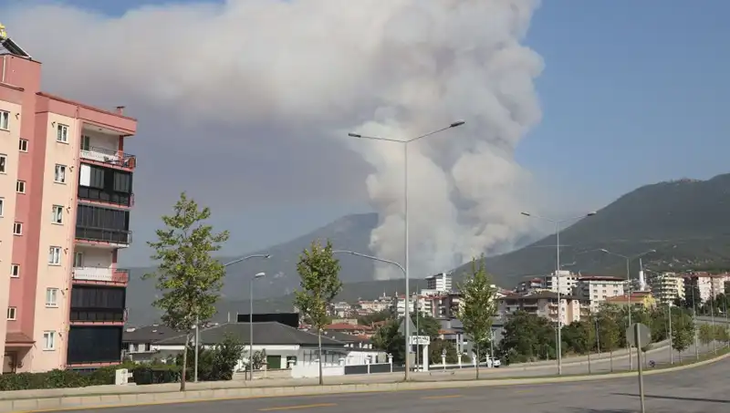 Denizli'de Orman Yangını Korkuttu: Bir Şüpheli Gözaltında!