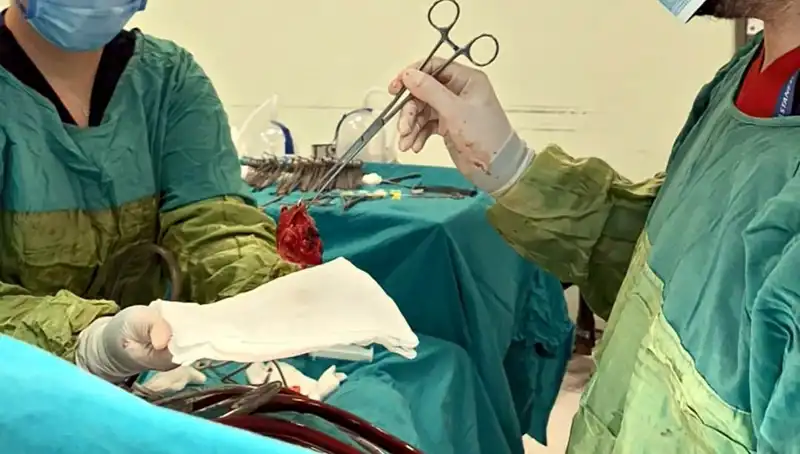 Kalp Kapağı Çürümüş, 7 Saat Süren Zorlu Ameliyat Sonrası Hayat Kurtarıldı