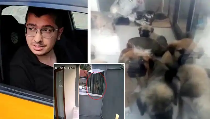 Hayvanseverleri Şok Eden Olay: Doktorun Yüzde 12 Yavru Köpek Katli!