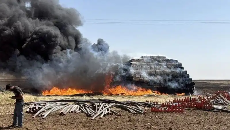 Mardin'de Anız Yangınları: Çiftçiler ve Doğa İçin Tehlike Kapıda!