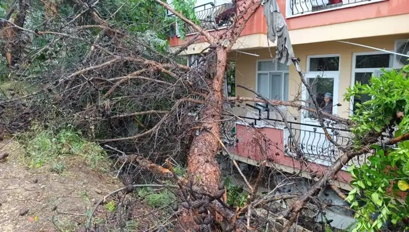 Yağmura Dayanamayan Bina, Tehlikeli Bir Şekilde Yıkıldı!