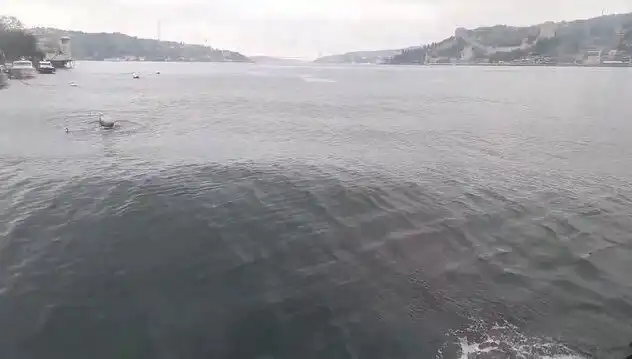 İstanbul Boğazı'nda Dalgalar Yükseldi: Sakin Suya Veda mı Ediliyor?