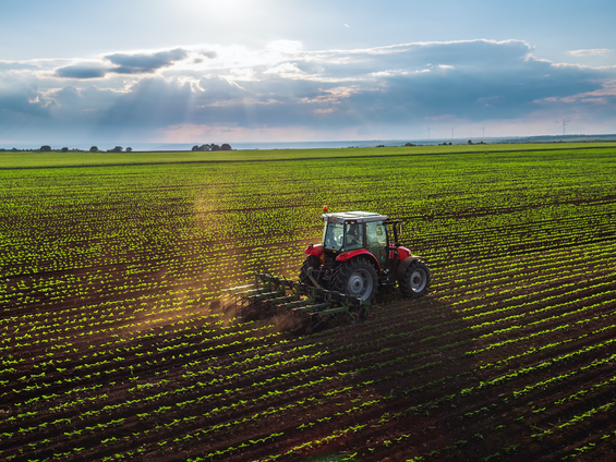 Ekonomik Büyüme: Tarımı Yeniden Canlandırmak Mümkün Mü?