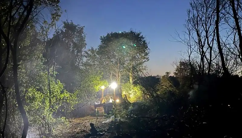 Edirne'de Majör Orman Yangını Kontrol Altına Alındı: Detaylar Burada!