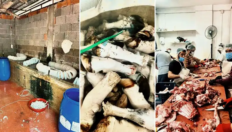 Adana'da Yüzlerce Kilo Paça Ele Geçirildi: Mide Bulandıran Görüntüler