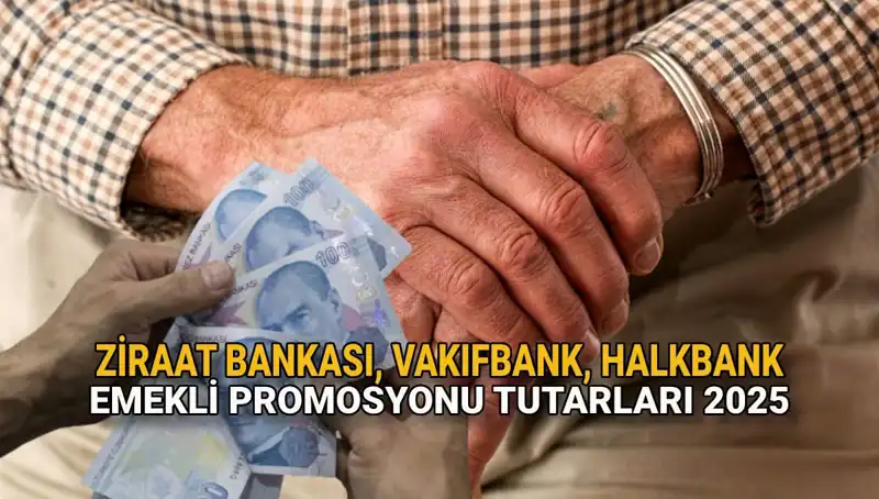 Emekli Banka Promosyonları 2025: Kamu Bankalarının Sunmuş Olduğu Fırsatlar