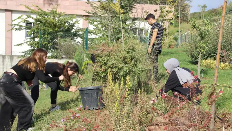 Düzce’nin Parlayan Yıldızı: Hayali Gerçeğe Dönüştüren Başarı Hikayesi