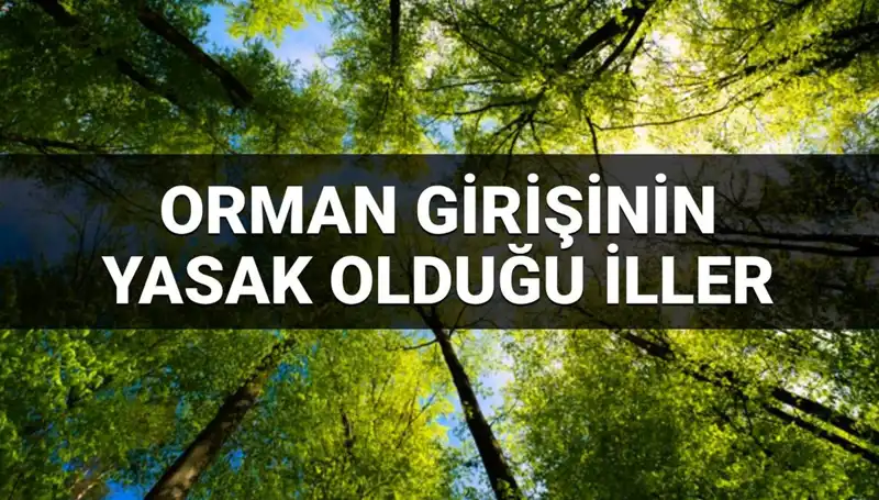 2025 Yılında Ormana Girişi Yasaklanan İller Hangileri?