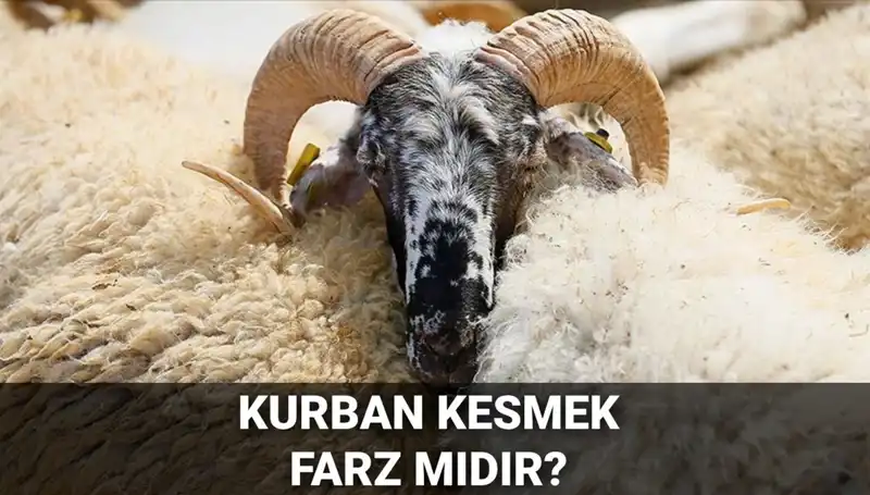 Kurban Kesmek Farz mı? Diyanet’in Kurban Hükmü ve Şartları