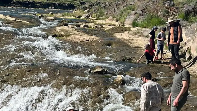 İnci Kefalinin Göçü: Doğanın Harikası Turistleri Büyülüyor!
