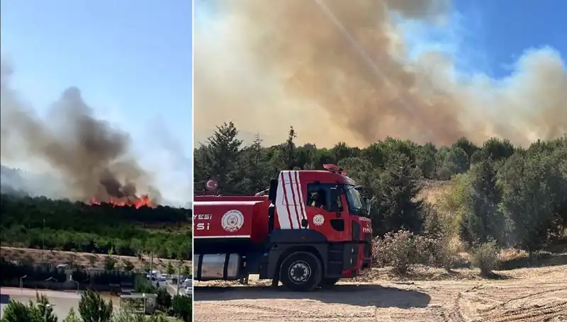 Gebze'de Alevler Yükseldi: Orman Yangını Korkuttu!